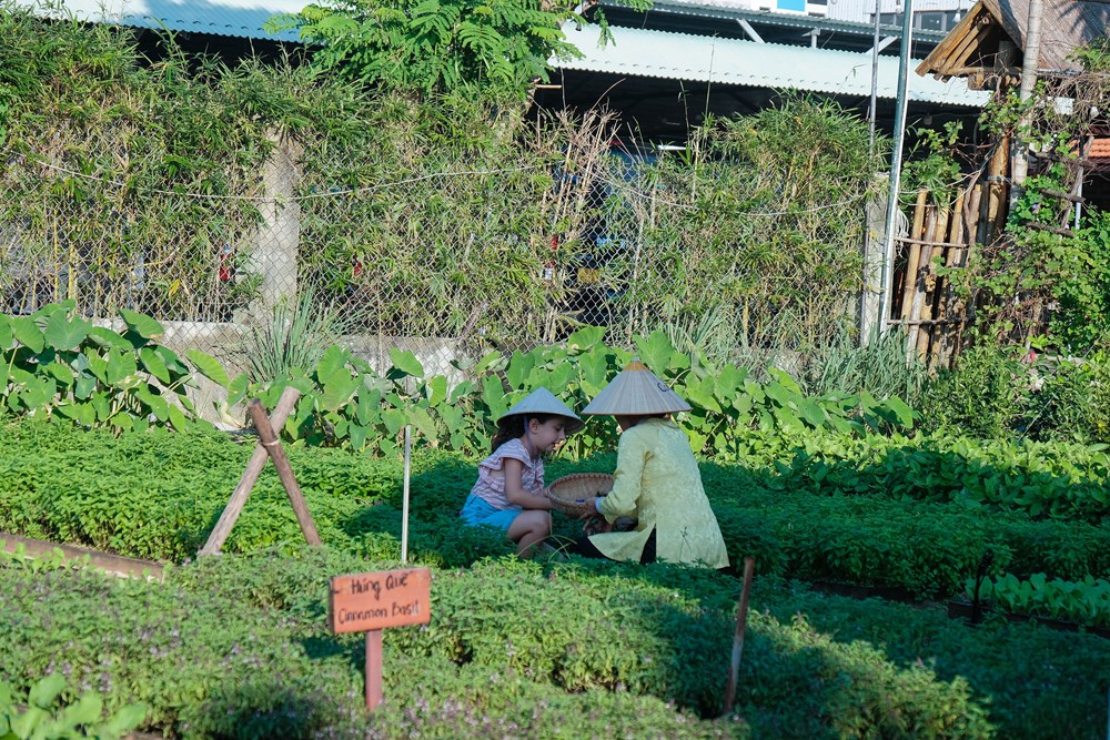Đà Nẵng thúc đẩy chuyển đổi xanh từ cơ sở lưu trú - ảnh 4