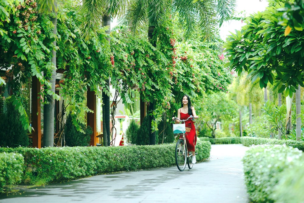 Đà Nẵng thúc đẩy chuyển đổi xanh từ cơ sở lưu trú - ảnh 1