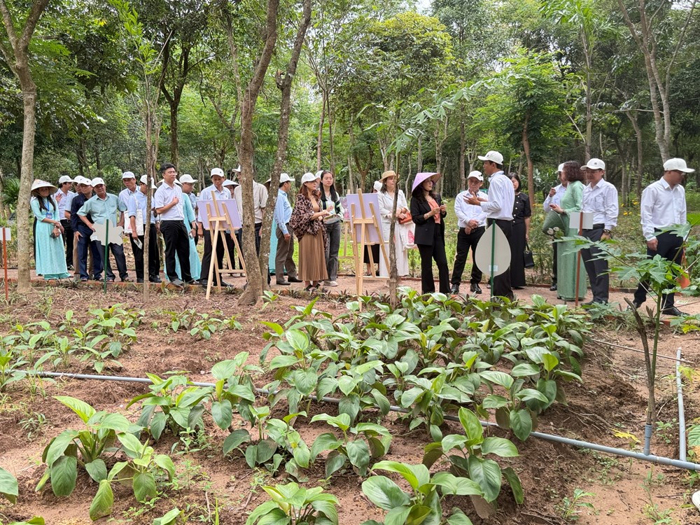 Mỹ Sơn ra mắt loạt sản phẩm du lịch trải nghiệm mới - ảnh 7
