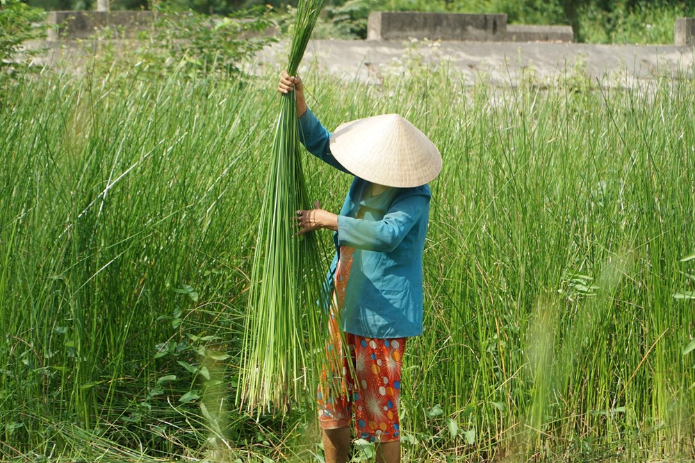 Từ đồng lác đến sắc chiếu Bàn Thạch - ảnh 2