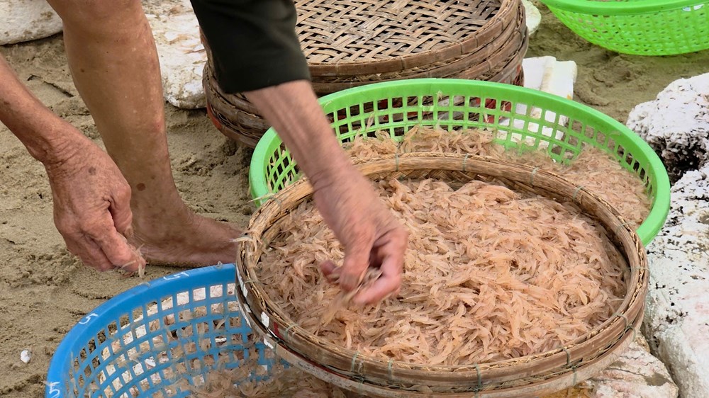 Phiên chợ “chạy” cùng bình minh - ảnh 10