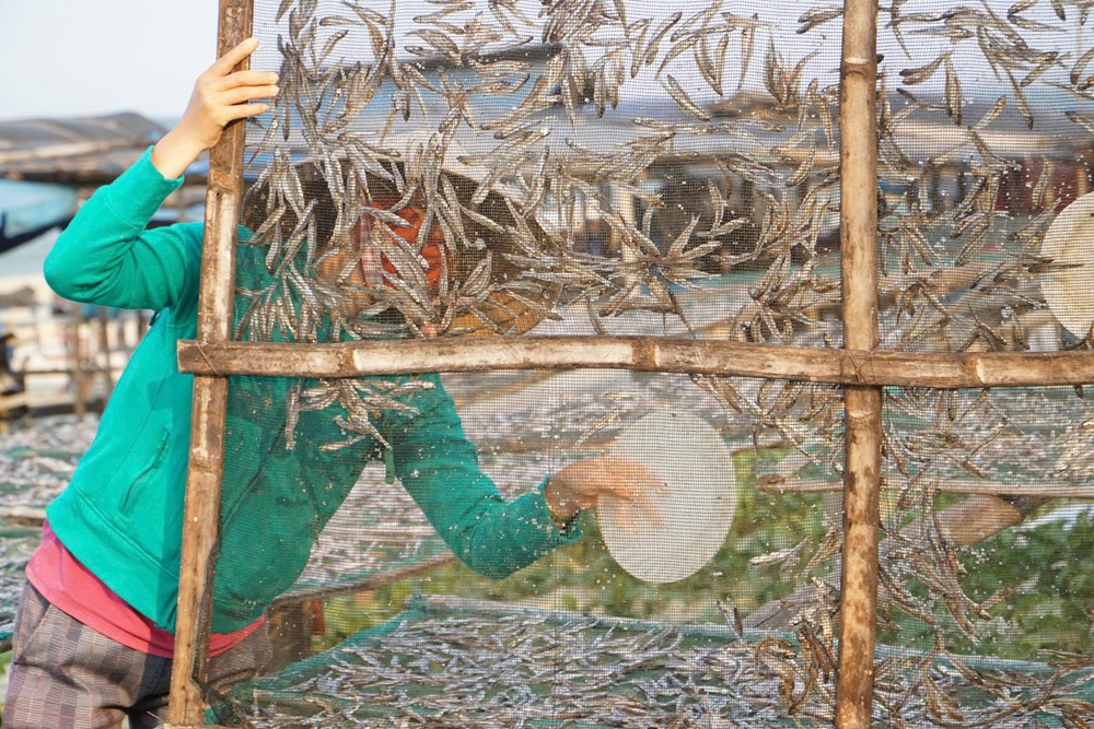 Phiên chợ “chạy” cùng bình minh - ảnh 9