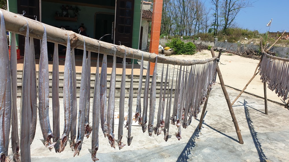 Kỳ cuối- Nghề biển tìm chỗ đứng trong không gian du lịch mới - ảnh 4