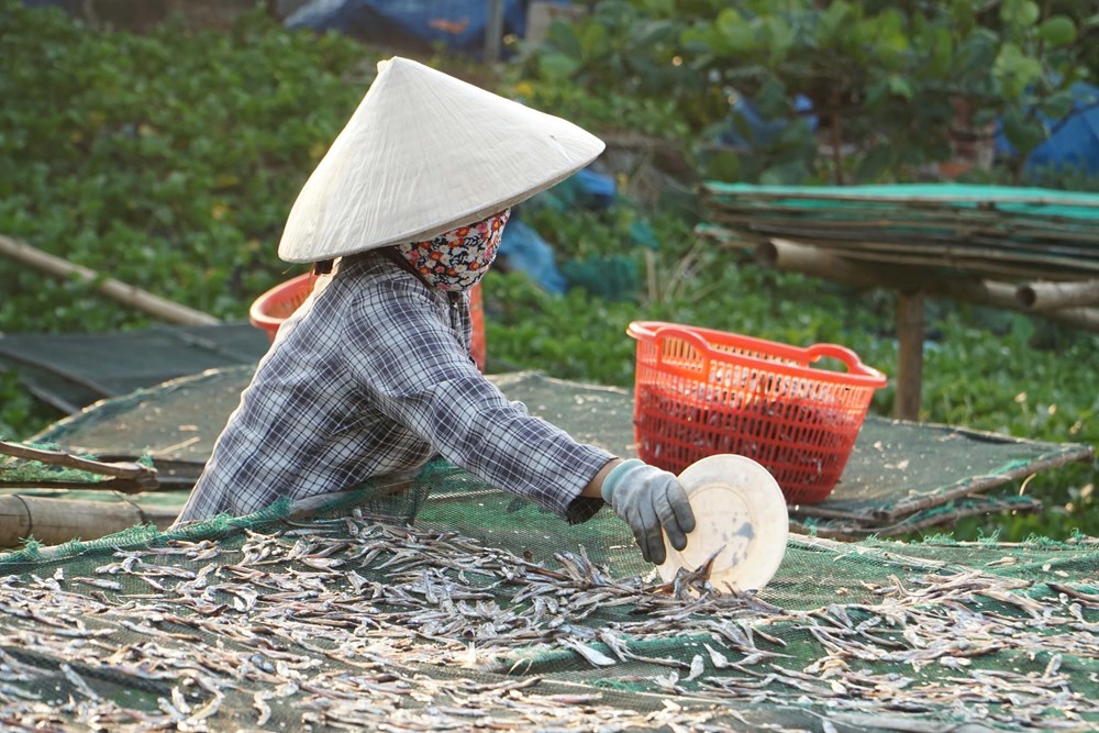 Kỳ cuối- Nghề biển tìm chỗ đứng trong không gian du lịch mới - ảnh 2