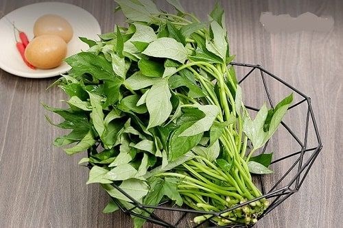 3 loại rau dân giã của người Việt, “trời Tây” săn lùng với giá hơn 1 triệu/kg - ảnh 1