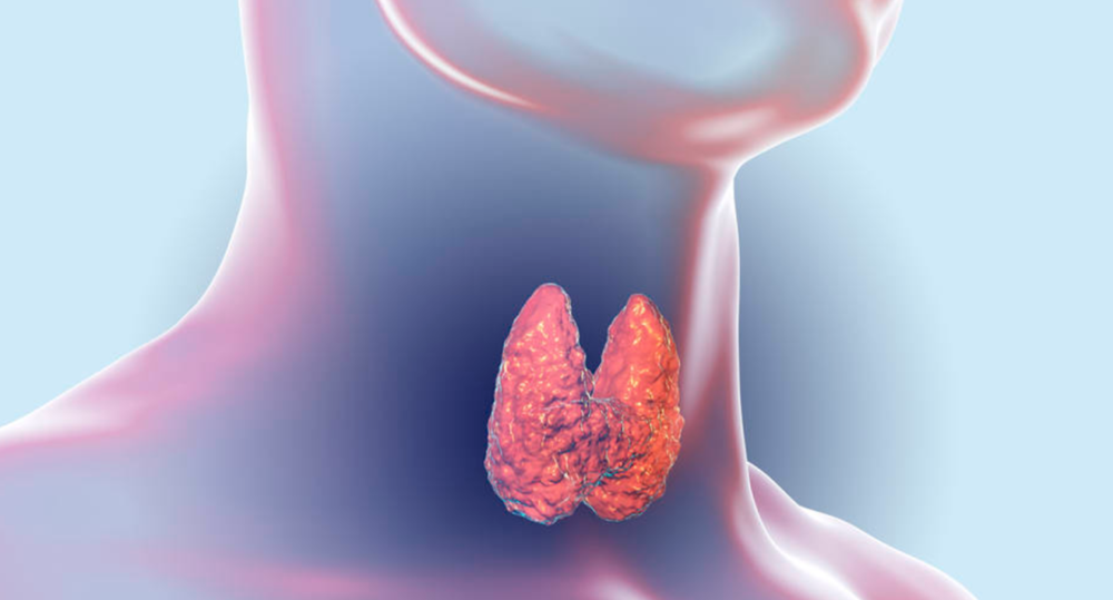 Nguyên nhân ung thư tuyến giáp ngày càng tăng nhưng giảm tỷ lệ tử vong - ảnh 2