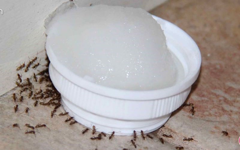 Không chỉ có mì sợi, đây là những thực phẩm có nguy cơ tẩm hàn the chuyên gia muốn cảnh báo người dân - ảnh 3