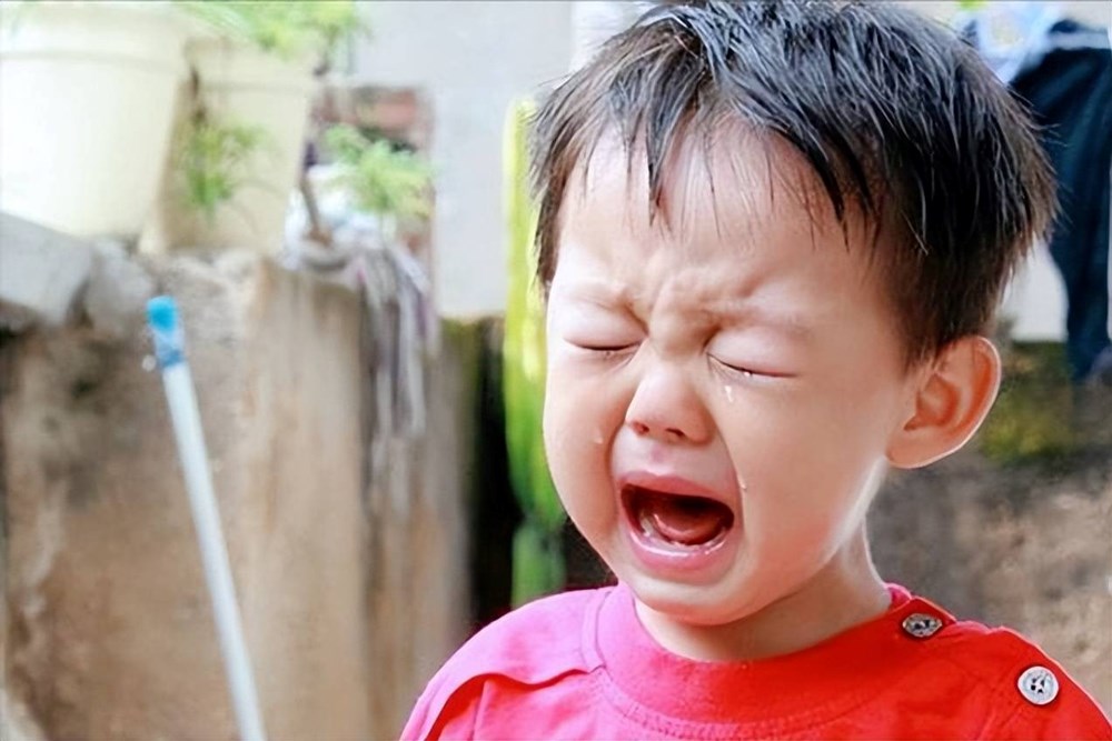 Nghiên cứu suốt 40 năm: Đứa trẻ càng hay cãi cha mẹ sau này càng có tố chất làm triệu phú! - ảnh 1