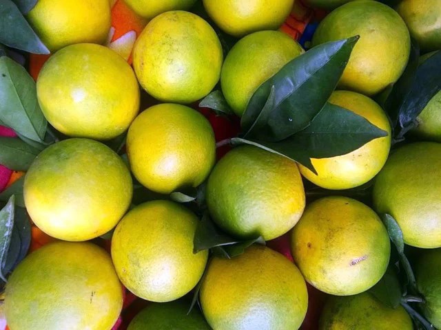 Đặt 2 loại quả này trong phòng ngủ và bạn sẽ nhận thấy điều kỳ diệu xảy ra với cơ thể - ảnh 1