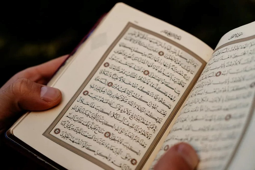 Top 4 ngôn ngữ ít người học nhưng cơ hội việc làm cao, AI khuyên nên tham khảo ngay - ảnh 1