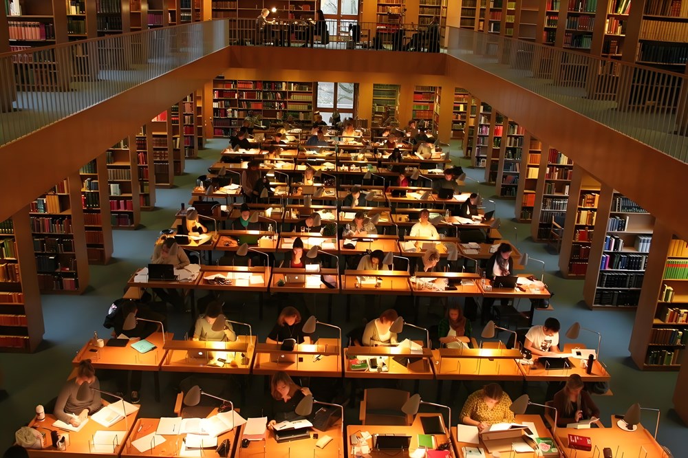 3 nhóm ngành có nhu cầu nhân lực lớn tại Việt Nam năm 2026 - ảnh 2