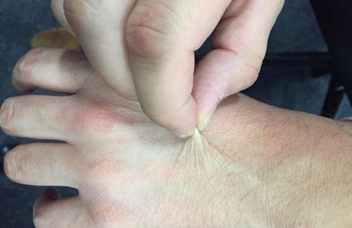 Nghiên cứu của Đại học Stanford cho thấy con người già đi nhanh nhất ở 2 mốc tuổi, bất kể nam hay nữ - ảnh 2