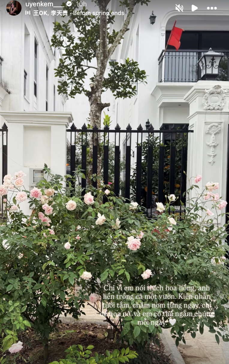 Vợ chồng Thành Chung - Tố Uyên sống cuộc đời như ngôn tình: Xây biệt thự mấy chục tỷ cho vợ ở, còn tự tay trồng cả vườn hoa hồng chỉ vì vợ thích ngắm hoa - ảnh 1