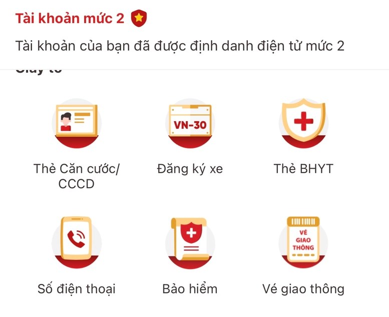 Làm gì khi phát hiện SIM lạ đứng tên mình trên VNeID?  - ảnh 1