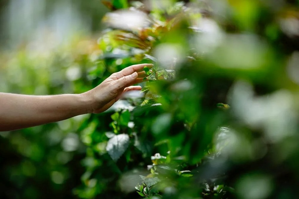 “Cải vận” cuộc đời giữa lúc bế tắc: 6 bước xoay chuyển số mệnh được chuyên gia hé lộ - ảnh 4