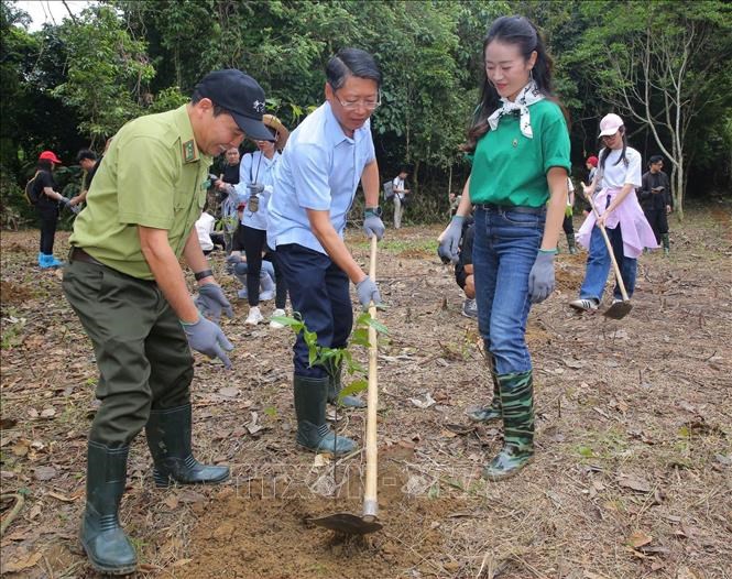 Các đại biểu và nghệ sỹ tham gia trồng cây tại chương trình.