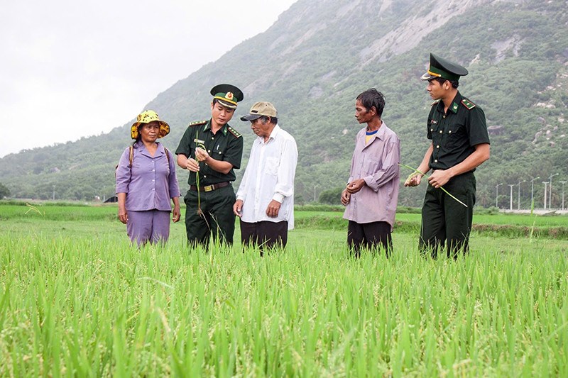Căn cứ địa Chiến khu 19 tại vùng Núi Chúa: Diện mạo mới trên chiến khu anh hùng - ảnh 2