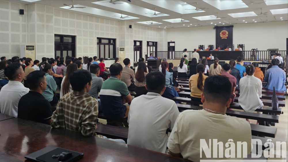 Gần 600 bị hại đã sập bẫy góp vốn đầu tư vào công ty ma do Nguyễn Thái Điền và Đào Nguyên Nghị lập ra. Hình ảnh tại phiên tòa ngày 07.06. (Ảnh: AD)
