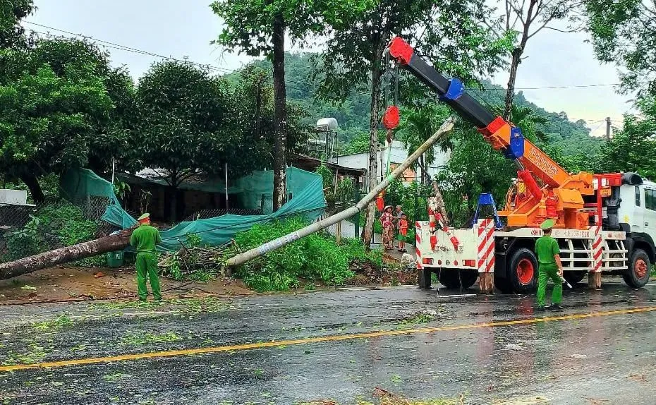 Cây xanh, cột điện ngã đổ ra Quốc lộ 20 đoạn qua xã Hà Lâm, huyện Đạ Huoai, tỉnh Lâm Đồng