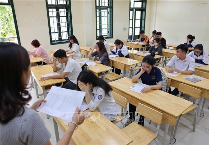 Ảnh minh họa: Thanh Tùng/TTXVN