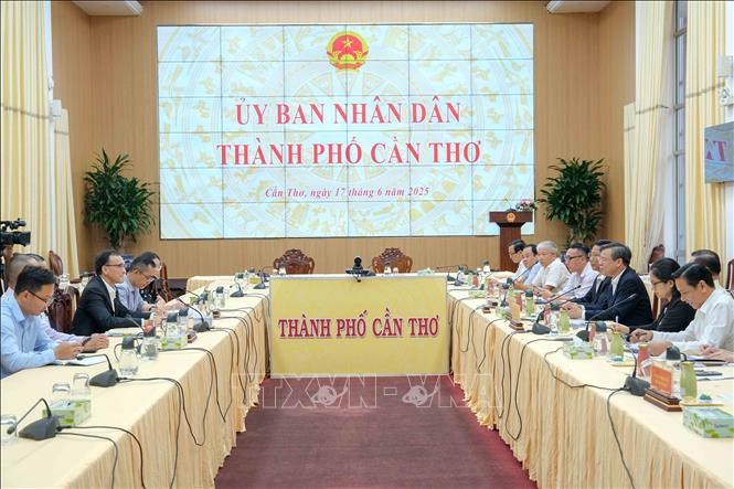 Quang cảnh buổi làm việc.