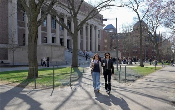 Sinh viên tại Đại học Havard ở Cambridge, Massachusetts (Mỹ). Ảnh: REUTERS/TTXVN