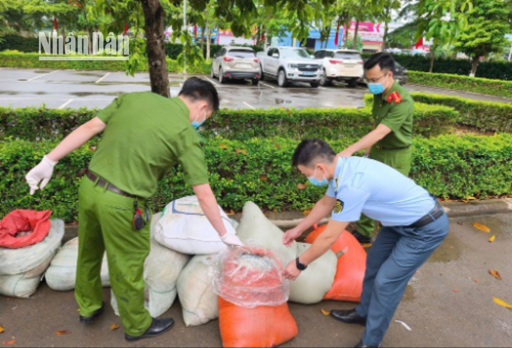 Các lực lượng chức năng tiến hành xử lý và tiêu hủy theo quy định gần 1 tấn nội tạng và các sản phẩm của động vật không rõ nguồn gốc.