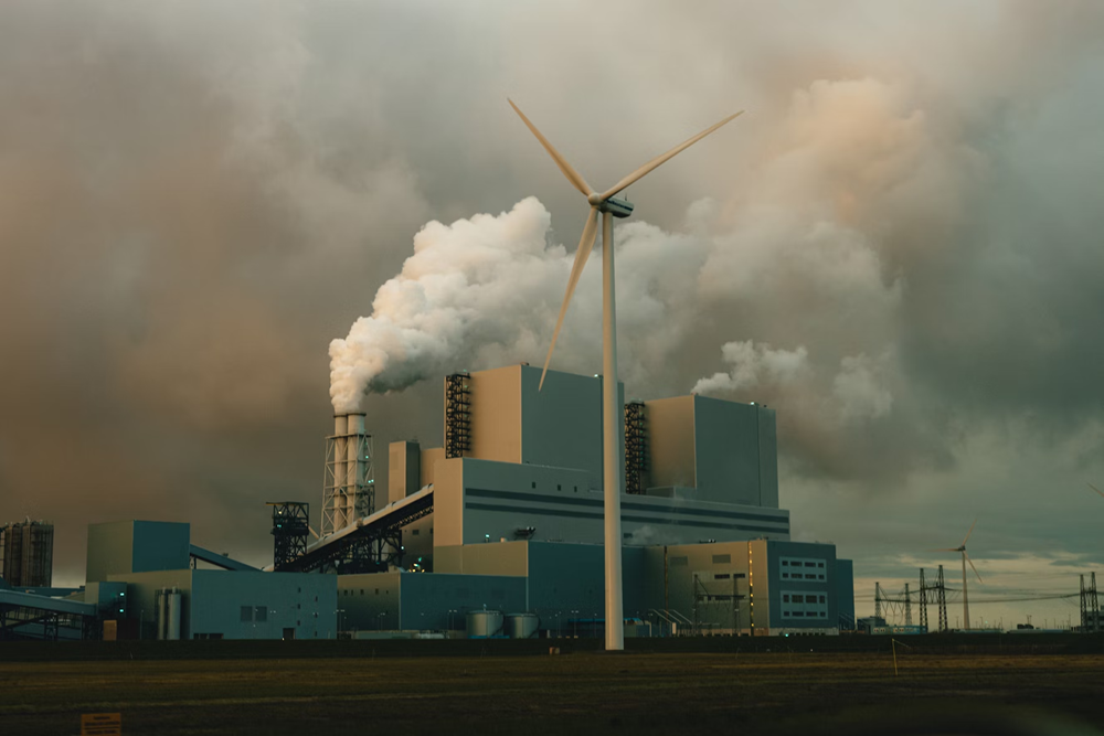 Ảnh: Unsplash/Tim van der Kuip