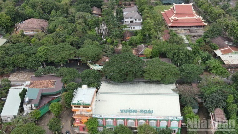 Cơ quan chức năng xác định nhiều sai phạm về xây dựng tại Khu du lịch sinh thái Vườn Xoài.