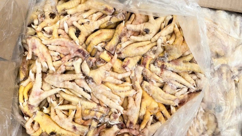 Khởi tố vụ án xuất khống 1.400 tấn nguyên liệu chân gà đông lạnh, trốn thuế hơn 7 tỷ đồng và có dấu hiệu chuyển tiêu thụ nội địa không khai báo hải quan. (Ảnh: CHQ)