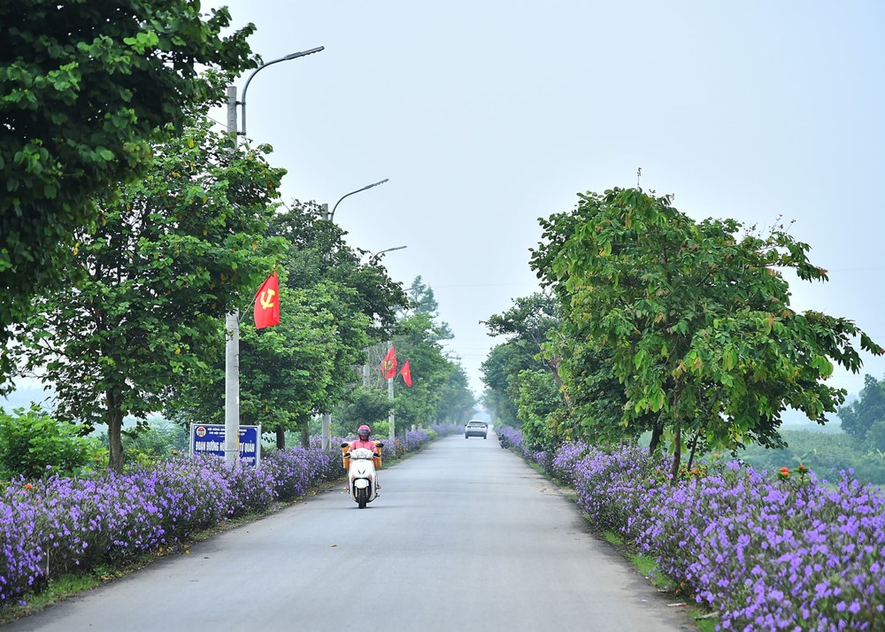Việc chuyển đổi mục đích sử dụng đất theo bảng giá đất của các địa phương hiện quá sức với nhiều hộ dân. Ảnh minh họa