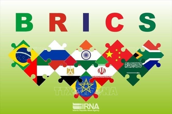 Quốc kỳ các nước thành viên BRICS. Ảnh tư liệu: IRNA/TTXVN