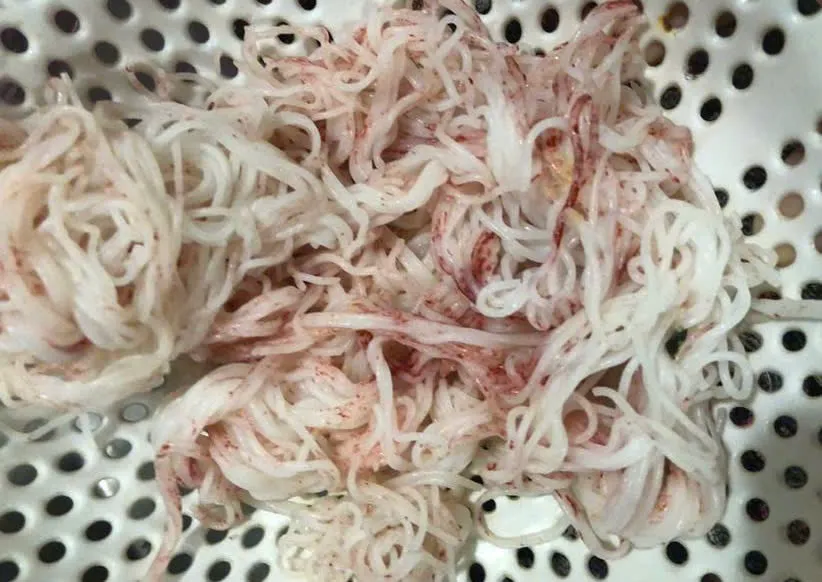 Số bún này được để trong rổ nhựa và đặt ở nơi khô thoáng