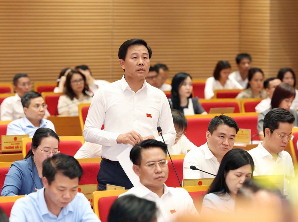 Ông Nguyễn Xuân Đại, Giám đốc Sở NN&MT Hà Nội phát biểu.