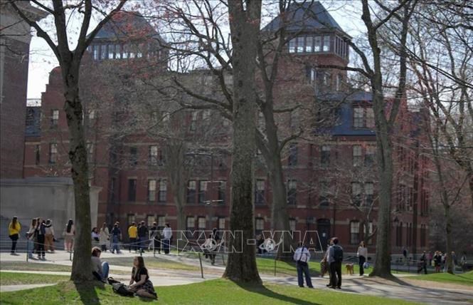 Sinh viên trong khuôn viên Đại học Harvard ở Cambridge, bang Massachusetts, Mỹ\nngày 15.4.2025. Ảnh: REUTERS/TTXVN