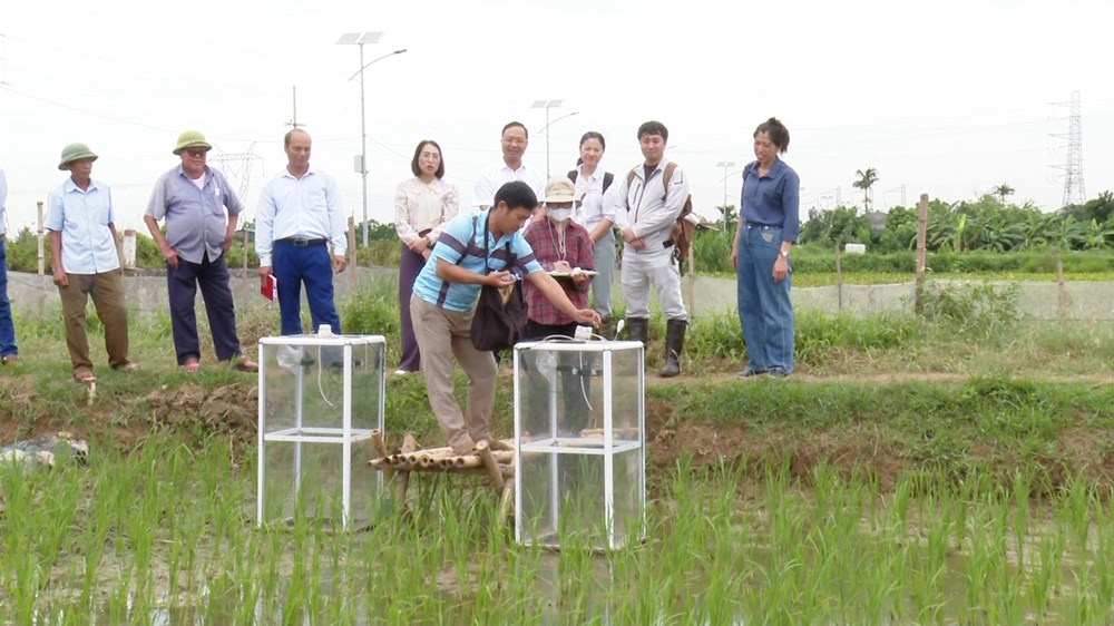 Lãnh đạo xã Ứng Hòa, Công ty TNHH Faeger Việt Nam, Chi cục Trồng trọt và Bảo vệ thực vật Hà Nội, Trạm Dịch vụ nông nghiệp kiểm tra thực tế quá trình lấy mẫu khí. Ảnh: Phùng Lương