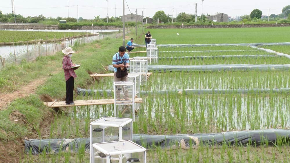 Lãnh đạo xã Ứng Hoà, Công ty TNHH Faeger Việt Nam, Chi cục Trồng trọt và Bảo vệ thực vật Hà Nội, Trạm Dịch vụ nông nghiệp kiểm tra thực tế quá trình lấy mẫu khí. Ảnh: Phùng Lương