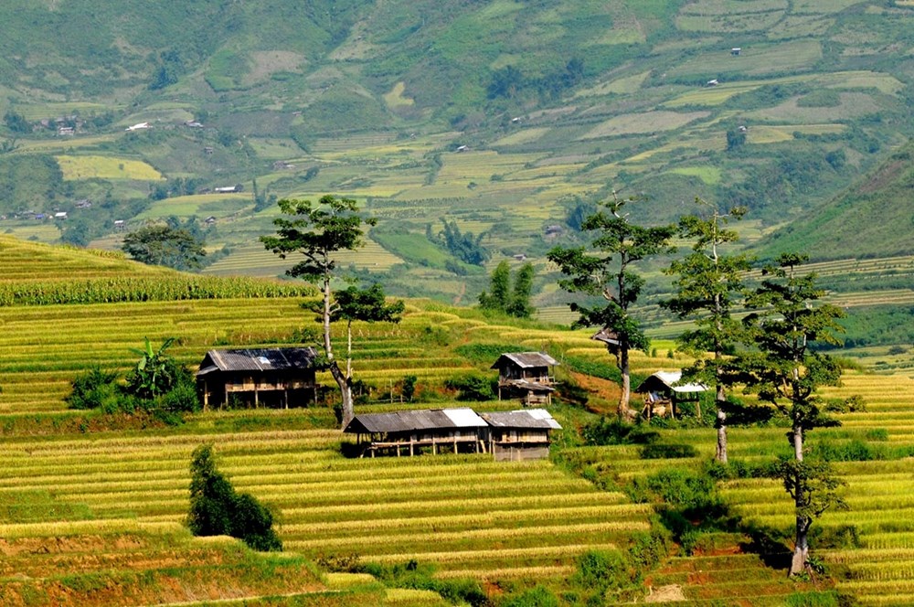 Ngày 13.7, khu vực Tây Bắc tiếp tục có mưa dông rải rác, cục bộ có nơi mưa to.