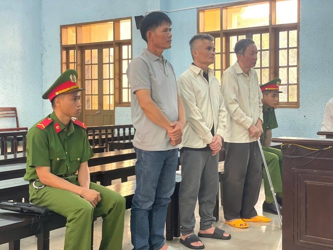 3 bị cáo hầu tòa về hành vi hủy hoại rừng.