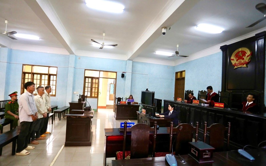 Tuyên án chủ tịch một công ty trồng rừng có hành vi phá rừng - ảnh 1