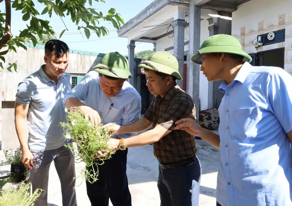 Lãnh đạo CDC Hà Tĩnh kiểm tra, giám sát bọ gậy trưởng thành gây bệnh sốt xuất huyết tại thôn Hải Thanh