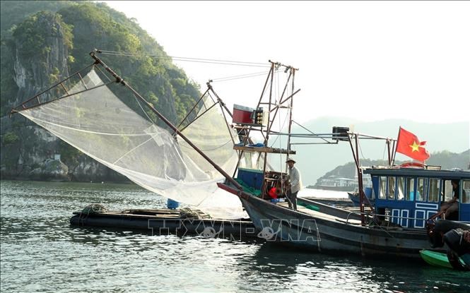 Ngư dân đảo Cát Bà. Ảnh tư liệu: Quốc Khánh/TTXVN