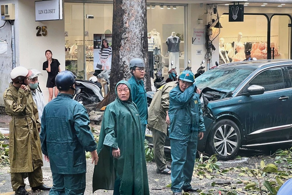 TP Hồ Chí Minh chủ động phòng, chống và ứng phó do ảnh hưởng của bão số 3.