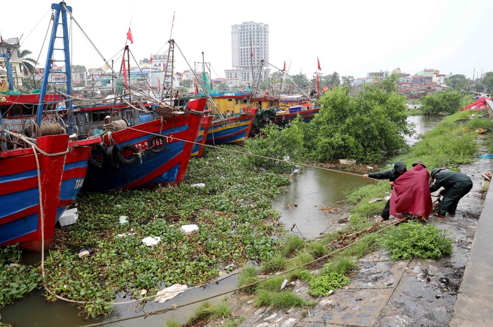 Lực lượng vũ trang cùng chính quyền địa phương giúp người dân neo đậu tàu thuyền tại khu neo đậu Cảng cá Tân Sơn, xã Thái Thụy, Hưng Yên. (Ảnh: Thế Duyệt/TTXVN)