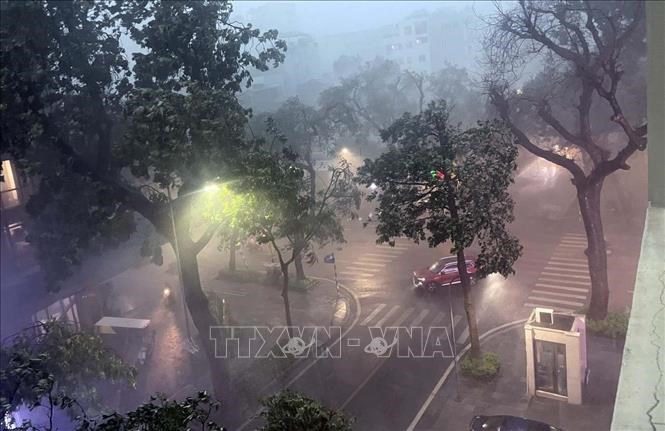 Ảnh minh họa: An Đăng/TTXVN