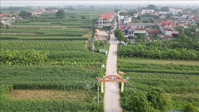 Một góc xã đảo Minh Châu. Ảnh: Vũ Quang/TTXVN