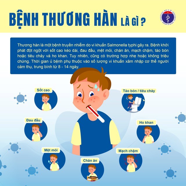 Thương hàn là một bệnh truyền nhiễm do vi khuẩn Salmonella typhi gây ra.