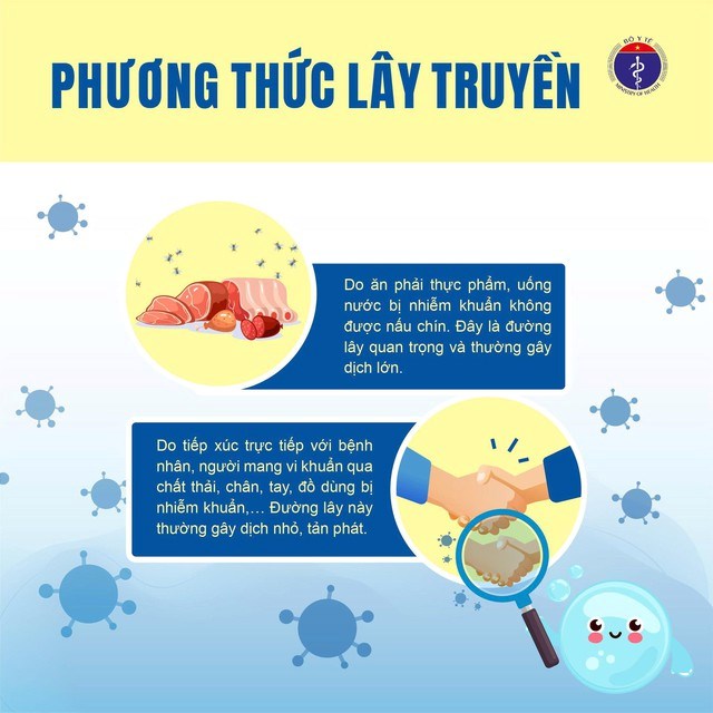 Phương thức lây truyền bệnh thương hàn.