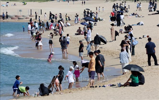 Người dân tránh nóng trên bãi biển tại Gangneung, Hàn Quốc. Ảnh: Yonhap/TTXVN