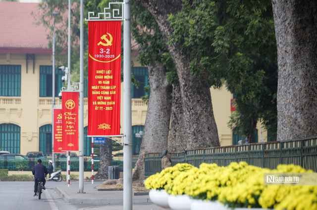 Hà Nội chặt hạ, di chuyển 27 cây xanh để thi công đường Hùng Vương, Độc Lập kéo dài (Ảnh minh họa).